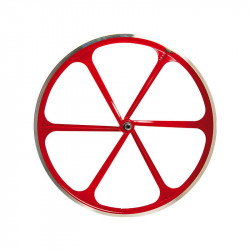 Front Bicycle Wheel...