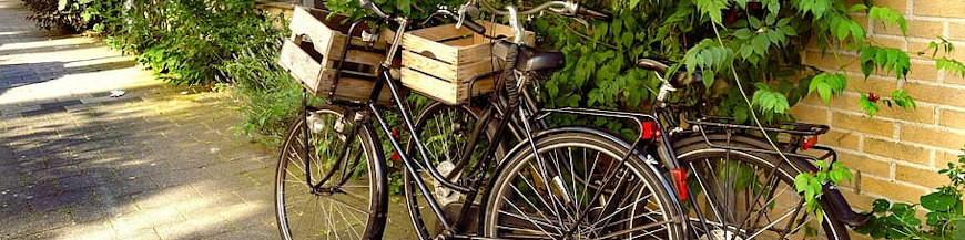 BICYCLE BASKETS